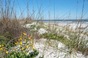 St Augustine beach rentals